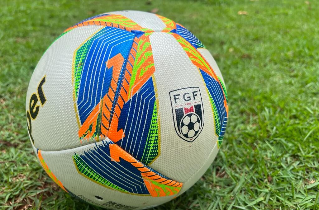 Bola oficial do Goianão 2024
