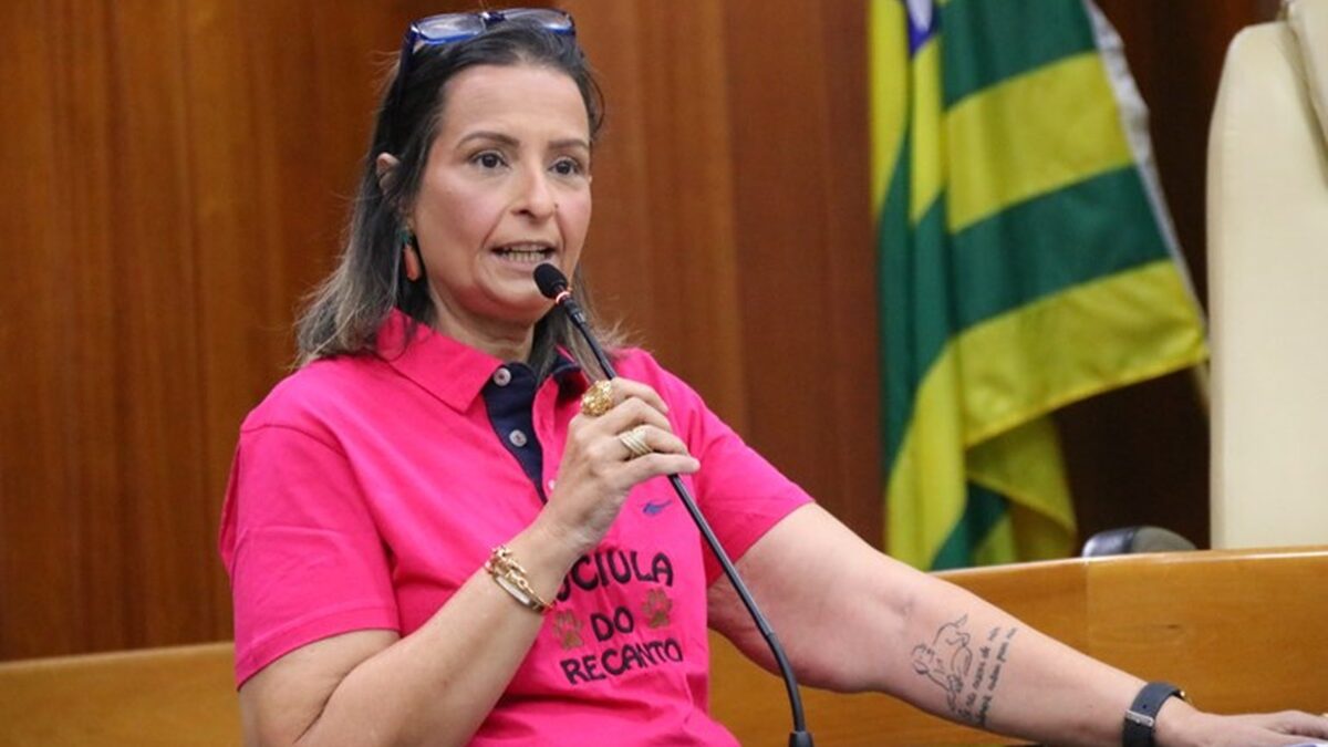 Imagem mostra Luciula do Recanto na tribuna da Câmara dos Vereadores antes de ser internada com pneumonia na UTI.