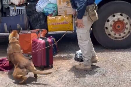 Passageira de ônibus é presa com droga avaliada em R$ 600 mil em Nova Glória