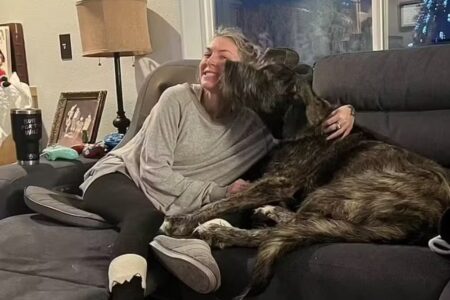 Amanda Richmond Rogers estava desaparecida desde dezembro no Alasca Mulher entra em rio congelado para salvar cão e morre abraçada ao animal