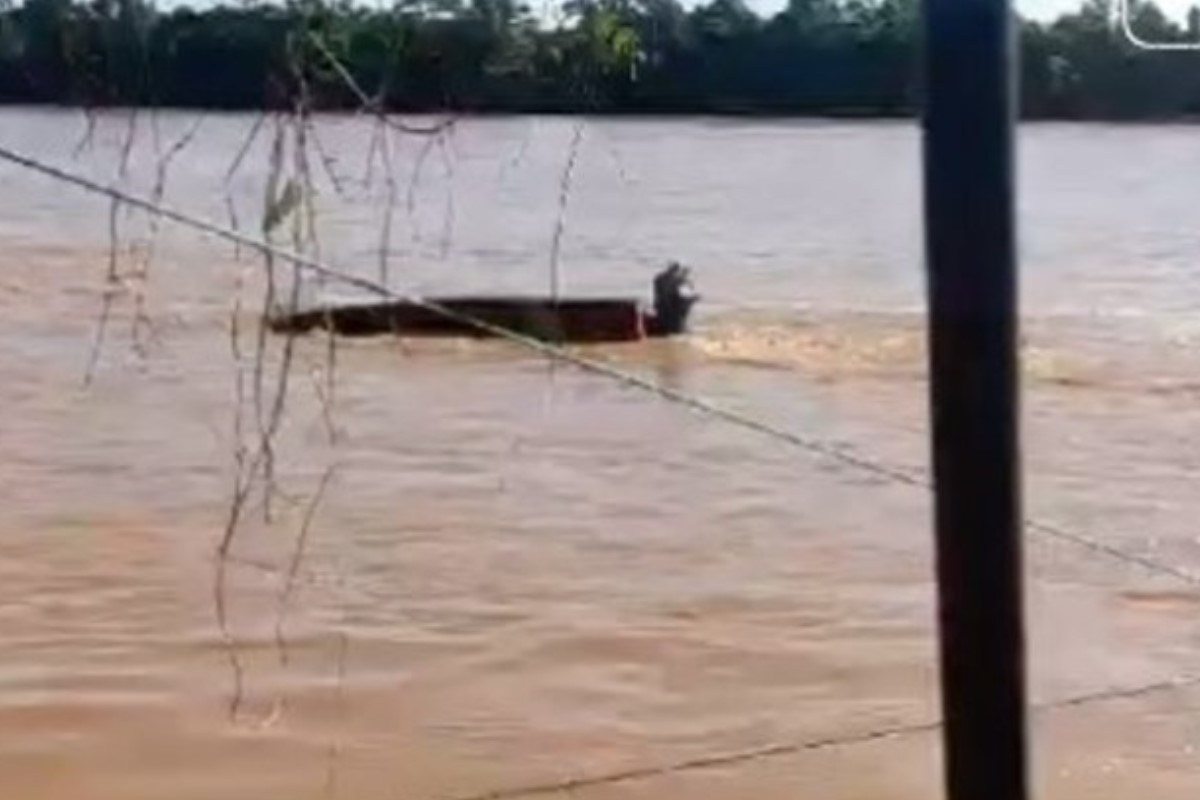 Bombeiros sofrem acidente no 5º dia de buscas por desaparecido no Araguaia