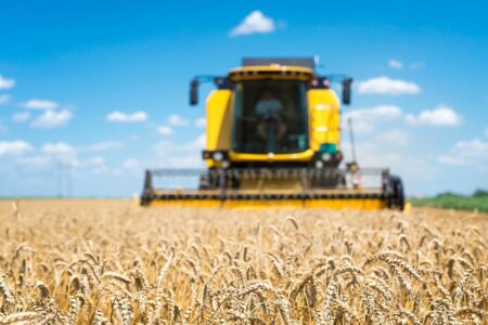 IBGE prevê queda na produção goiana de milho 2ª safra e alta no sorgo