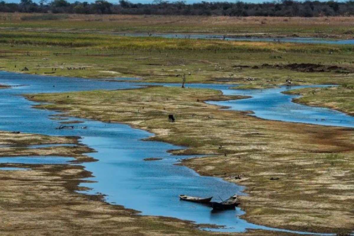 Rio Paraguai e Pantanal podem ter a pior seca da história no Mato Grosso do Sul