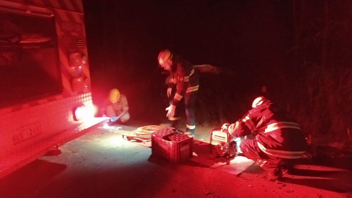 Corpo de Bombeiros realizou atendimento ao motoriste que morreu em acidente (Foto CBMGO)