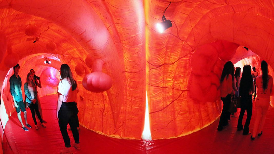 Goiânia recebe intestino gigante com 20 metros; exposição gratuita alerta sobre o câncer