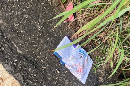 Acidente em Itapuranga: mulher e criança foram resgatadas de helicóptero pelos bombeiros Criança de 11 anos que teve perna decepada