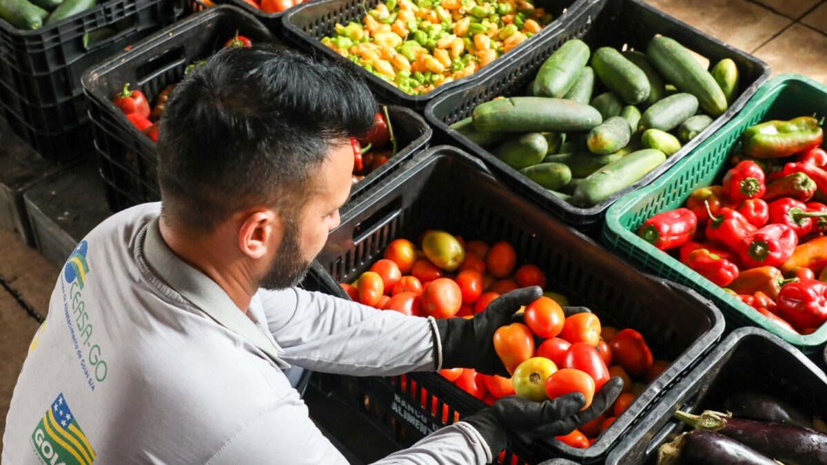 Imagem colorida mostra homem uniformizado selecionando itens de hortifrúti na Ceasa Goiás (Foto: OVG)