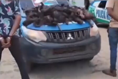 PM prende suspeitos de furtos de fios de cobre e recupera 70 kg do produto