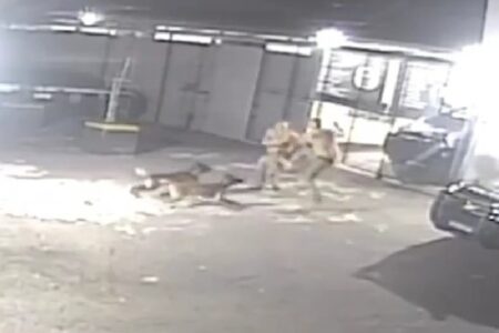 Cachorros atacam policiais de elite que brigavam por causa de folga (Foto: Reprodução)