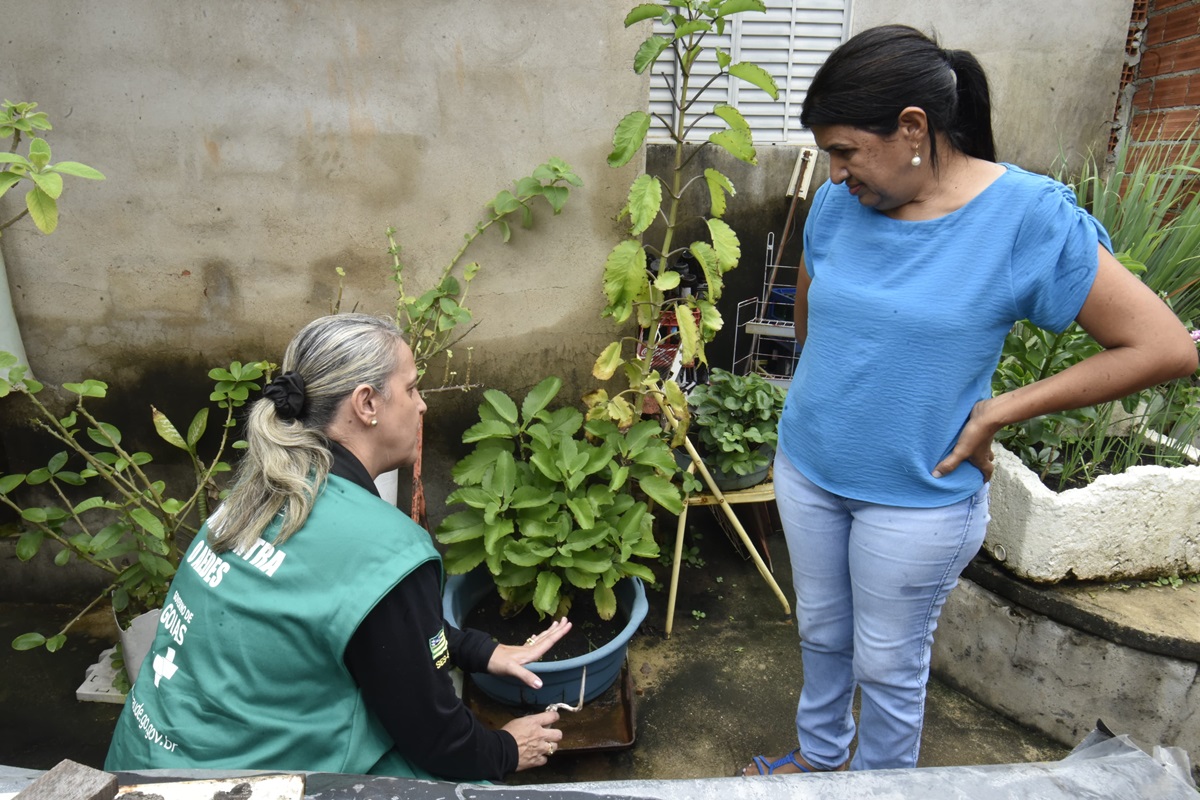 Goiás: Saúde alerta para sinais de agravamento de sintomas da dengue