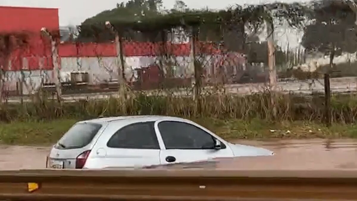 Goiânia: chuvas intensas fazem trecho da GO-060 alagar; carro fica parcialmente submerso