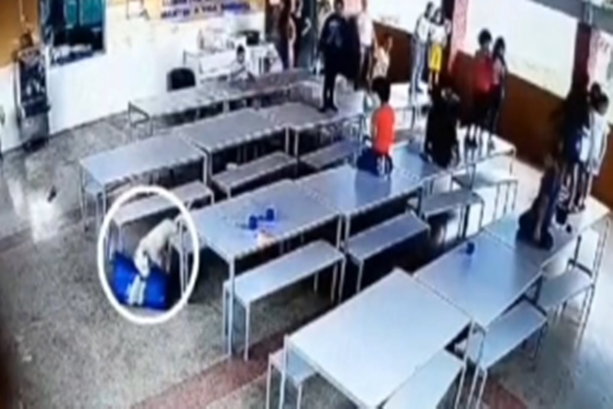 Filhote de Pitbull invade escola de Catalão e deixa crianças em pânico; vídeo