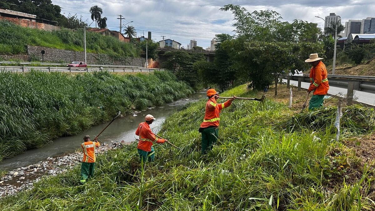 Goiânia: Marginal Botafogo recebe reforço na limpeza ao longo de seus 14 km