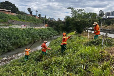 Goiânia: Marginal Botafogo recebe reforço na limpeza ao longo de seus 14 km