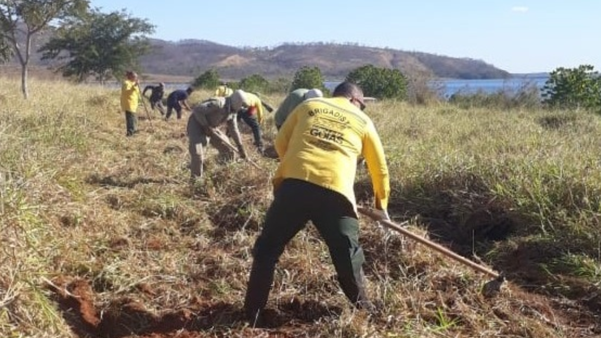 Prazo para solicitação de queima controlada está aberto em Goiás (Foto: Governo de Goiás)