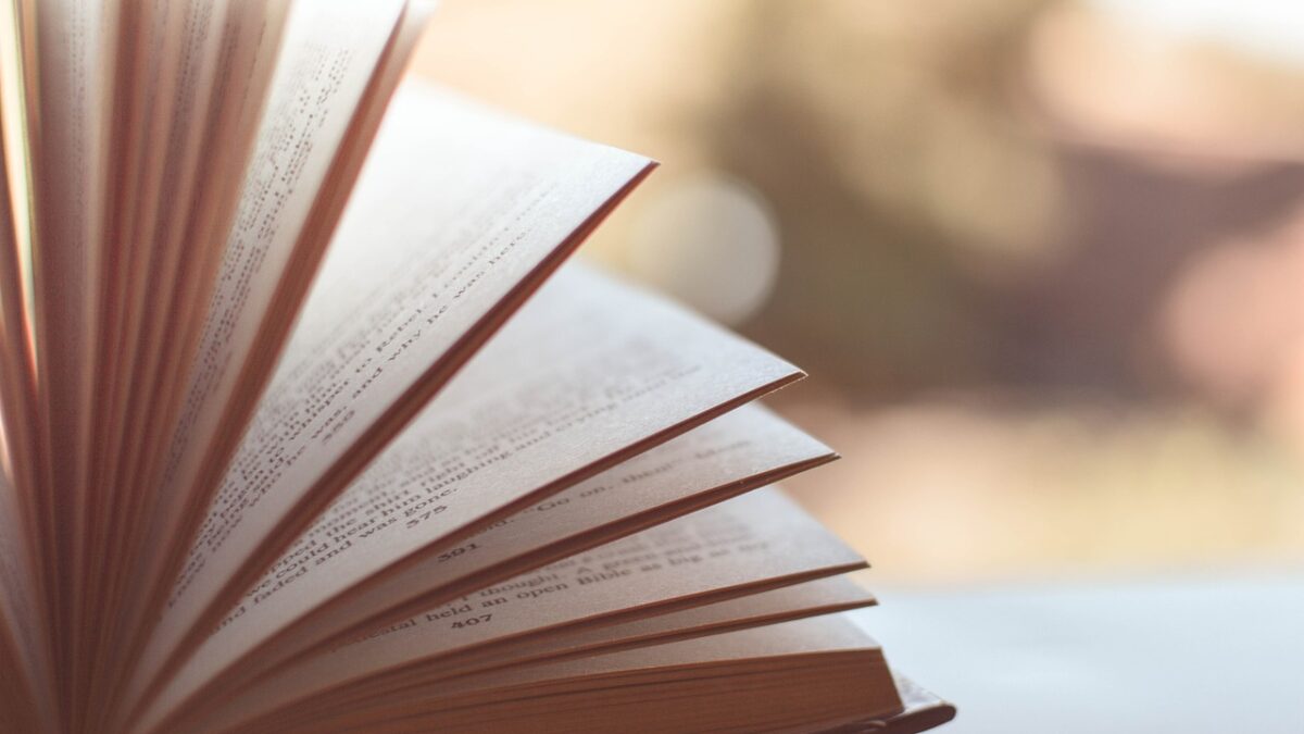 Autores goianos participam do evento de lançamento (Foto: Pixabay / ilustração)