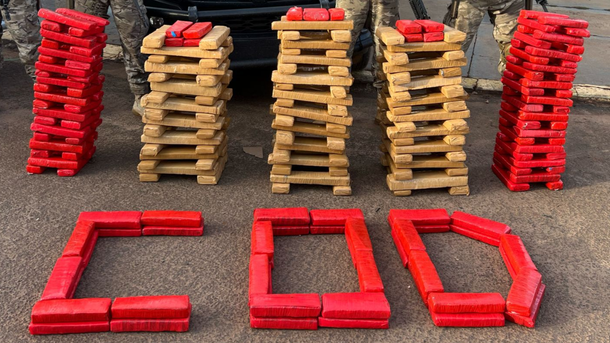 Polícia apreende mais de 270 kg de drogas que seriam distribuídas em Goiás e no DF