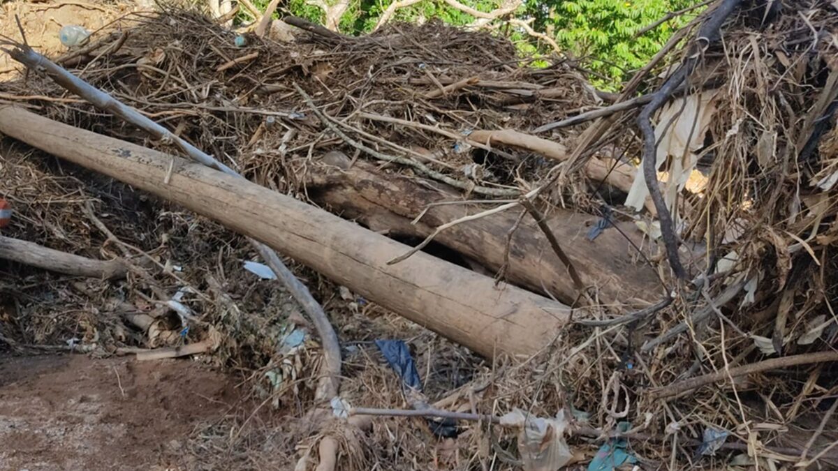 Corpo de Samylla foi encontrado a cerca de 1 km pelo leito do rio, em Aparecida, sob galhadas