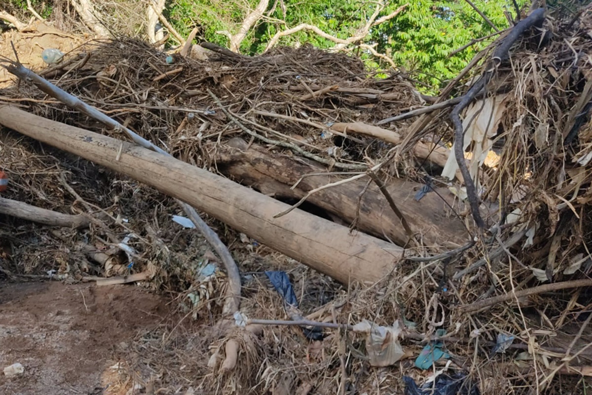 Corpo de Samylla foi encontrado a cerca de 1 km pelo leito do Córrego Lages, em Aparecida, sob galhadas