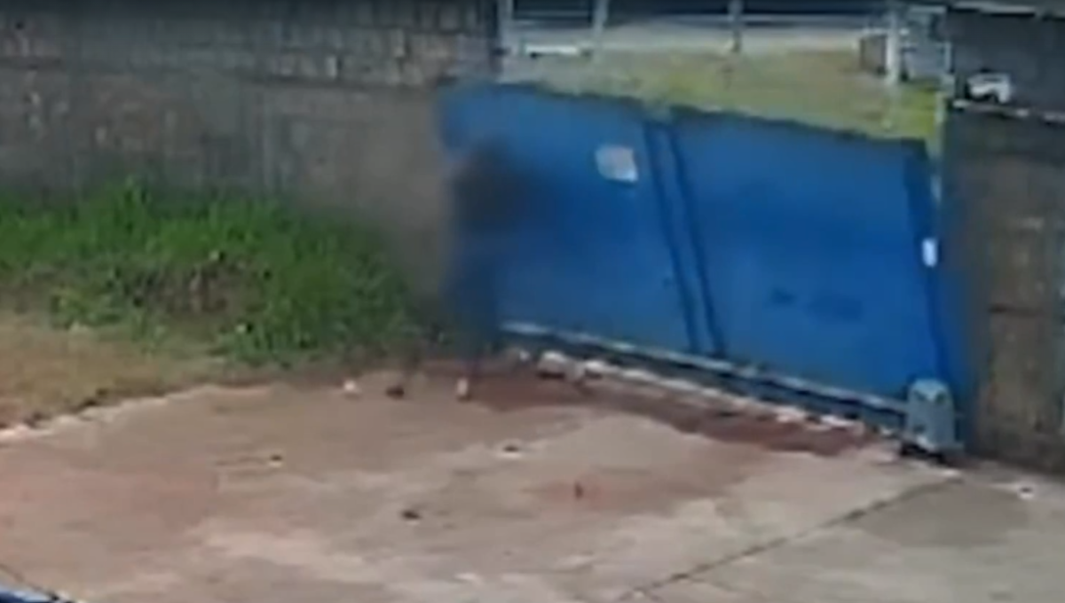 VÍDEO: Portão desaba sobre funcionária de colégio em Águas Lindas de Goiás