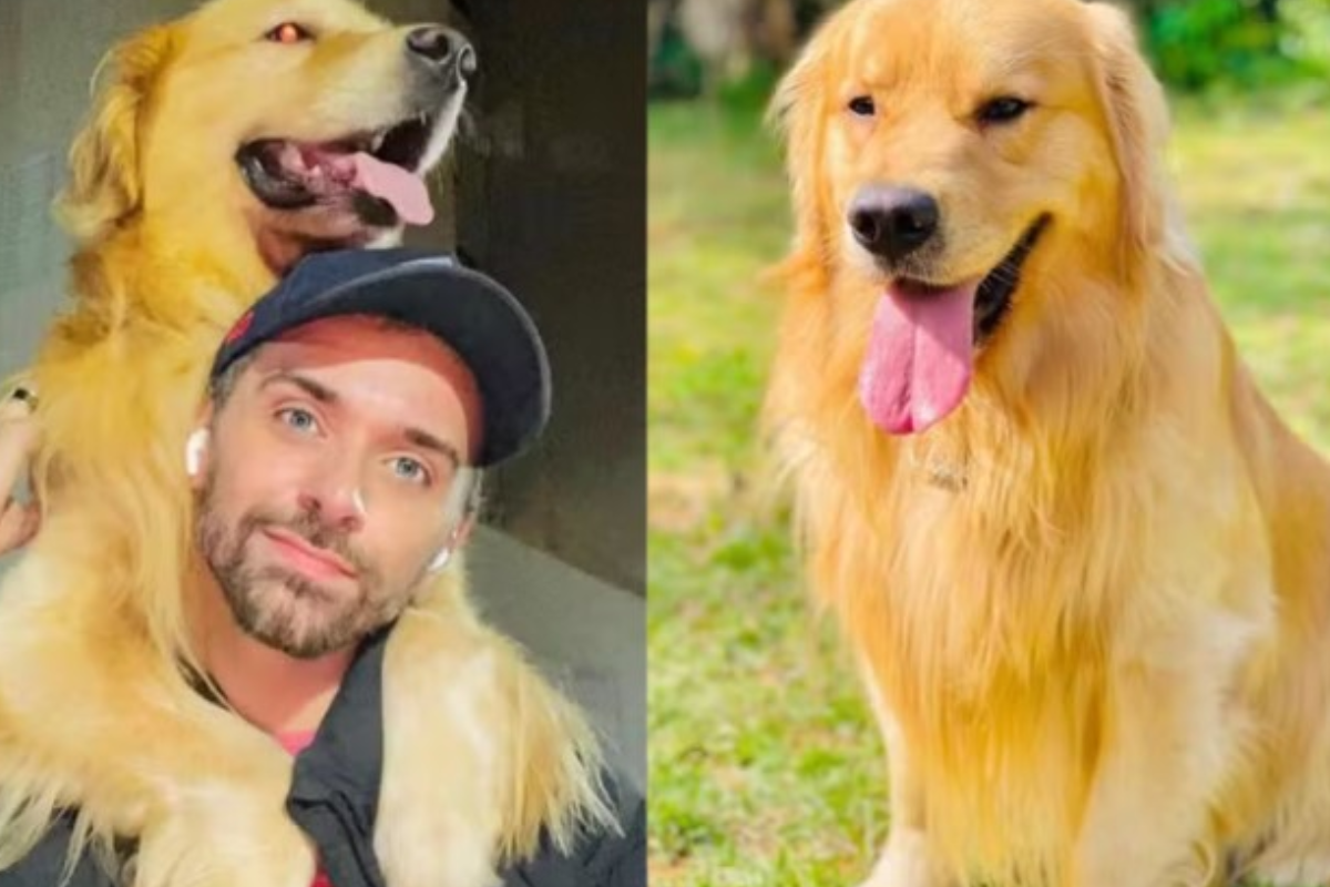 Cachorro Joca e o tutor, João Fantazzini (Foto: Redes sociais)