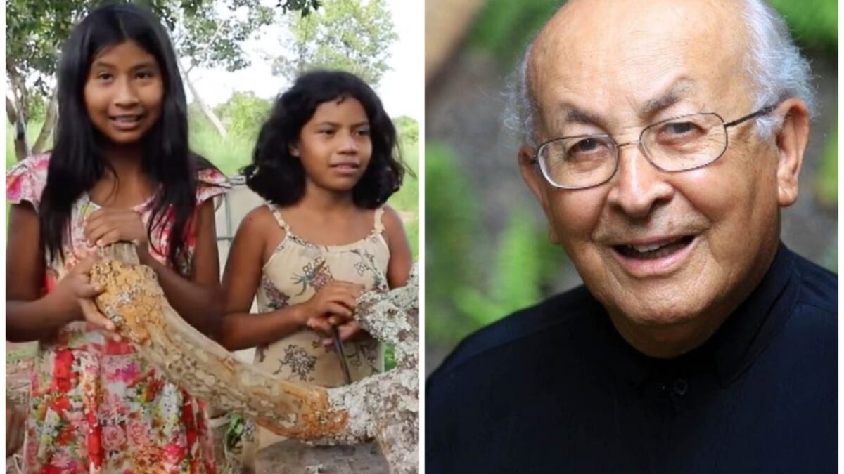 Segundo seus idealizadores, Claudia Nunes e Erico Rassi, a edição especial da Mostra foi criada para comemorar o Centenário de Dom Tomás Balduíno, um dos fundadores do Conselho Indigenista Missionário (CIMI) e defensor histórico de direitos humanos na América Latina. O objetivo é valorizar o seu legado e dar visibilidade para a produção cinematográfica de realizadores e realizadoras indígenas sobre suas lutas e resistência histórica.