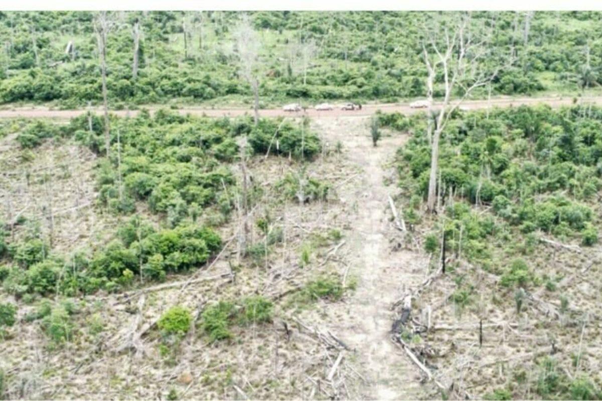 Homem é preso em Goiânia suspeito de chefiar maior esquema de desmatamento da história na Floresta Amazônica