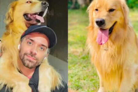 cachorro Anac e Ministério de Portos e Aeroportos investigarão morte do cão Joca criado grupo de trabalho para rever regras de transporte de animais