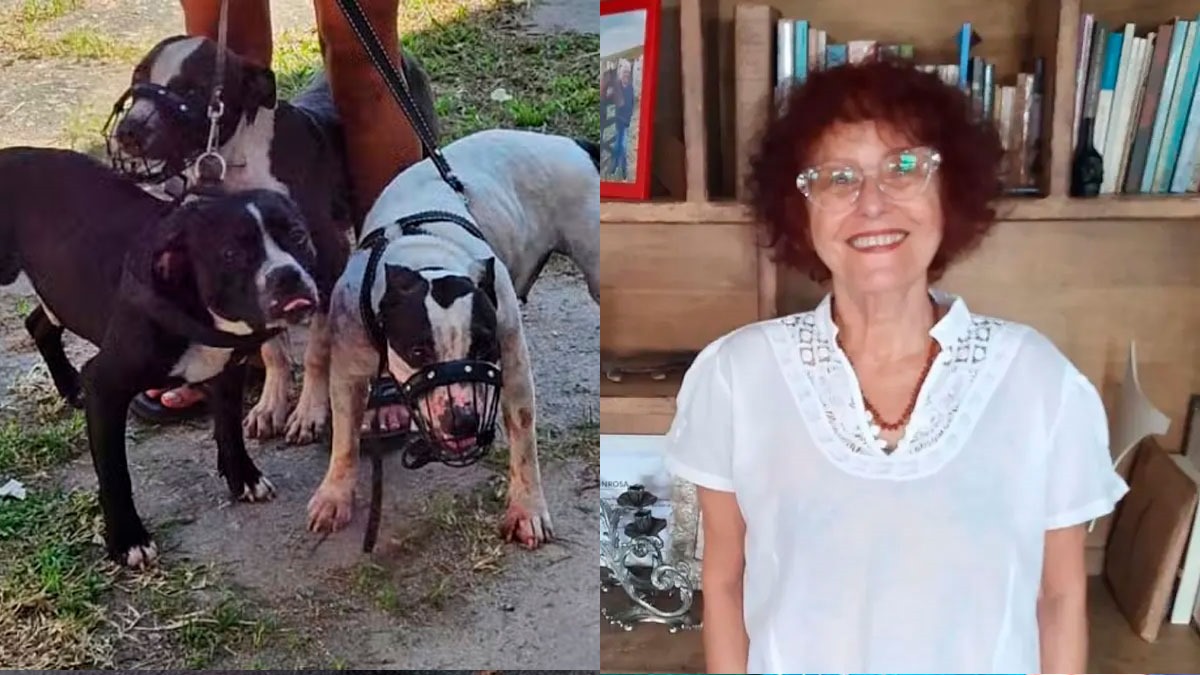 Justiça mantém prisão dos donos de pitbulls que arrancaram braço da escritora Roseana Murray