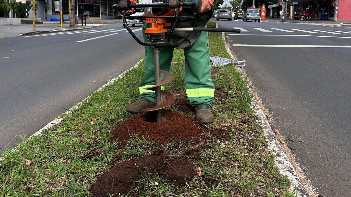 Avenida T-9, em Goiânia, recebe 302 árvores em ação de compensação ambiental