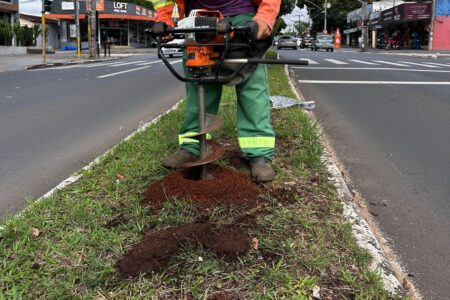 Avenida T-9, em Goiânia, recebe 302 árvores em ação de compensação ambiental