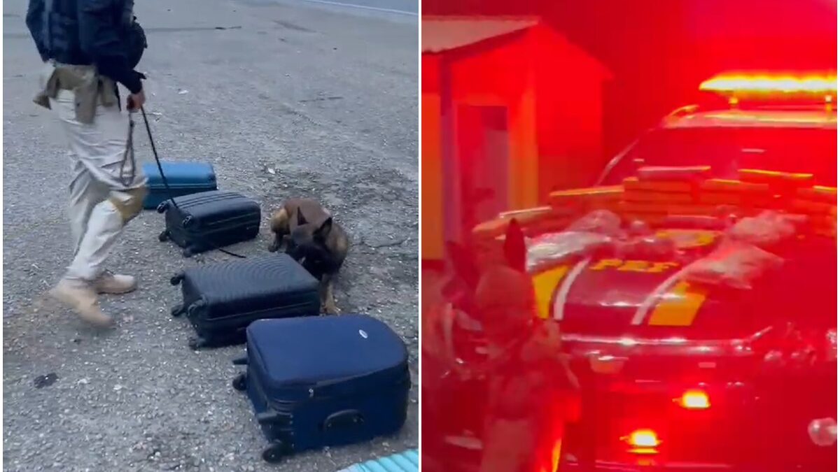 Passageira de ônibus é presa com 22 kg de drogas em Uruaçu