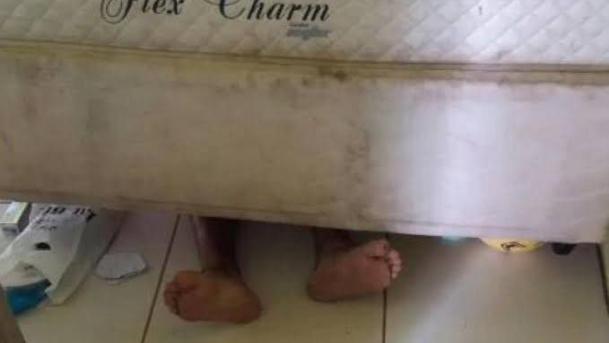 Homem se esconde debaixo de cama com medo de ser preso após agredir esposa, em Pirenópolis