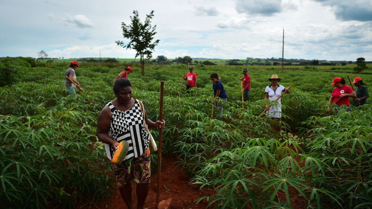 Mulheres garantem na luta a terra da Fazenda São Lukas, em Hidrolândia, para assentamento