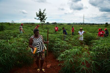 Mulheres garantem na luta a terra da Fazenda São Lukas, em Hidrolândia, para assentamento
