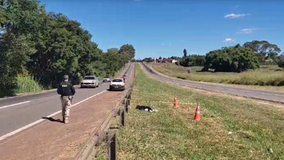 Enfermeira morre após ser arremessada de garupa de moto na BR-060, em Goianápolis