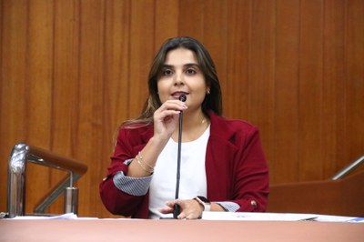 Sabrina Garcêz diz que PT e MDB nada fizeram pelo Centro de Goiânia