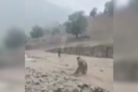 Enchente no Afeganistão (Foto: Reprodução)