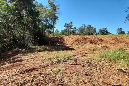 Flagrante de desmatatamento em Pirenópolis (Foto: Divulgação)