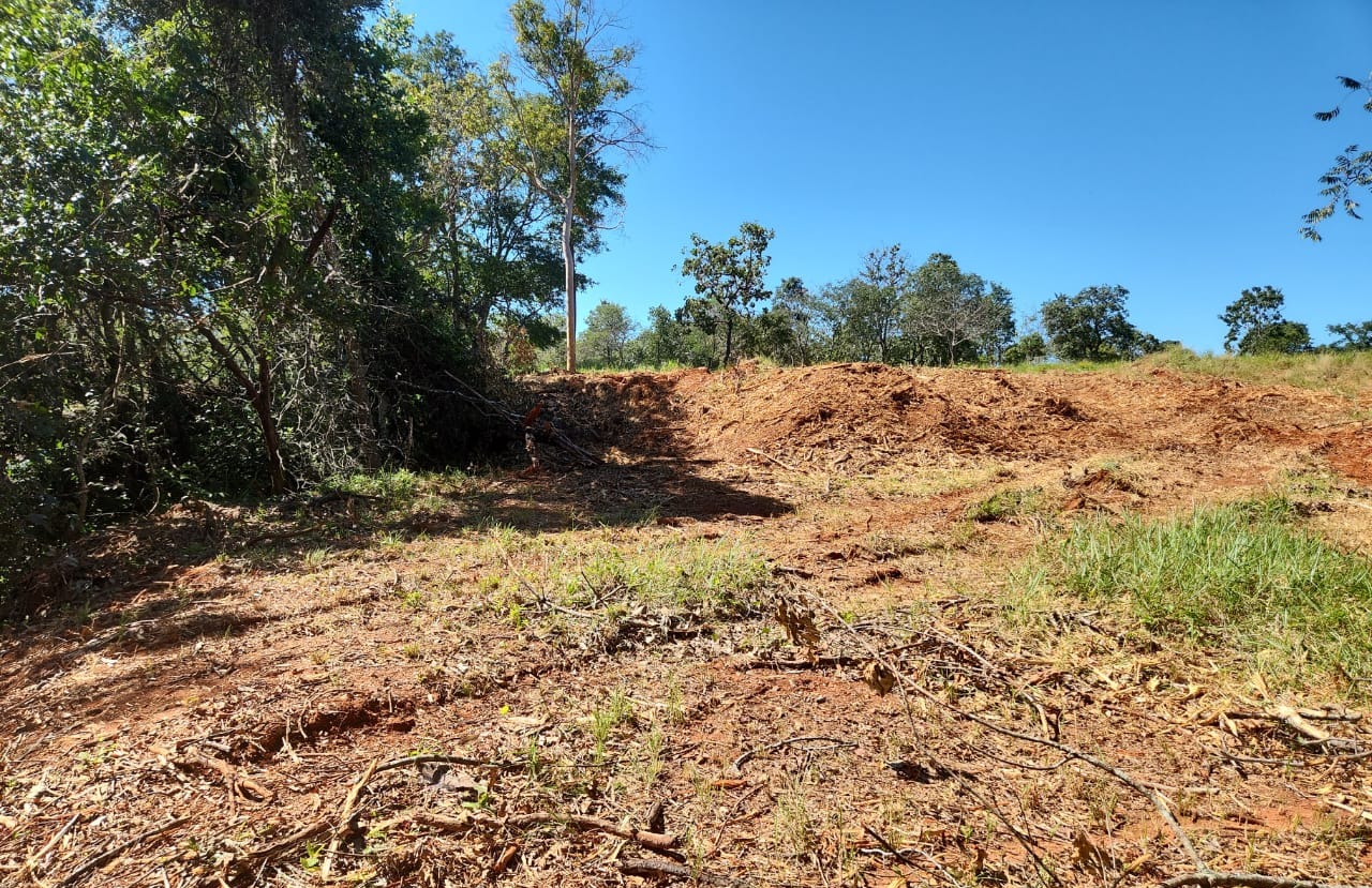 Pirenópolis: fiscais flagram desmatamento e construção ilegal de loteamento