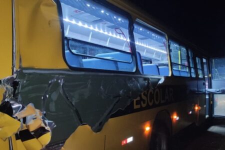 Acidente aconteceu nas proximidades do km 74 Ônibus escolar da Prefeitura de Goiandira se envolve em acidente na GO-210
