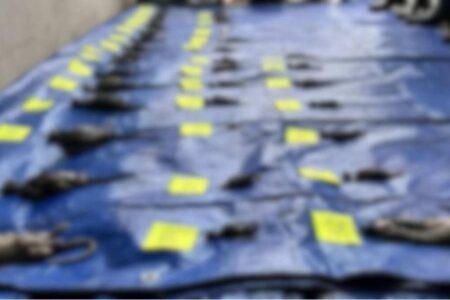 MP dá parecer contra venda de animais em loja que deixou bichos se afogarem em RS