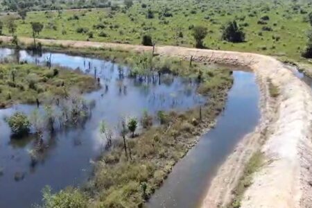 Vinte quilômetros de drenos secam veredas e lagos, e minam Rio Araguaia