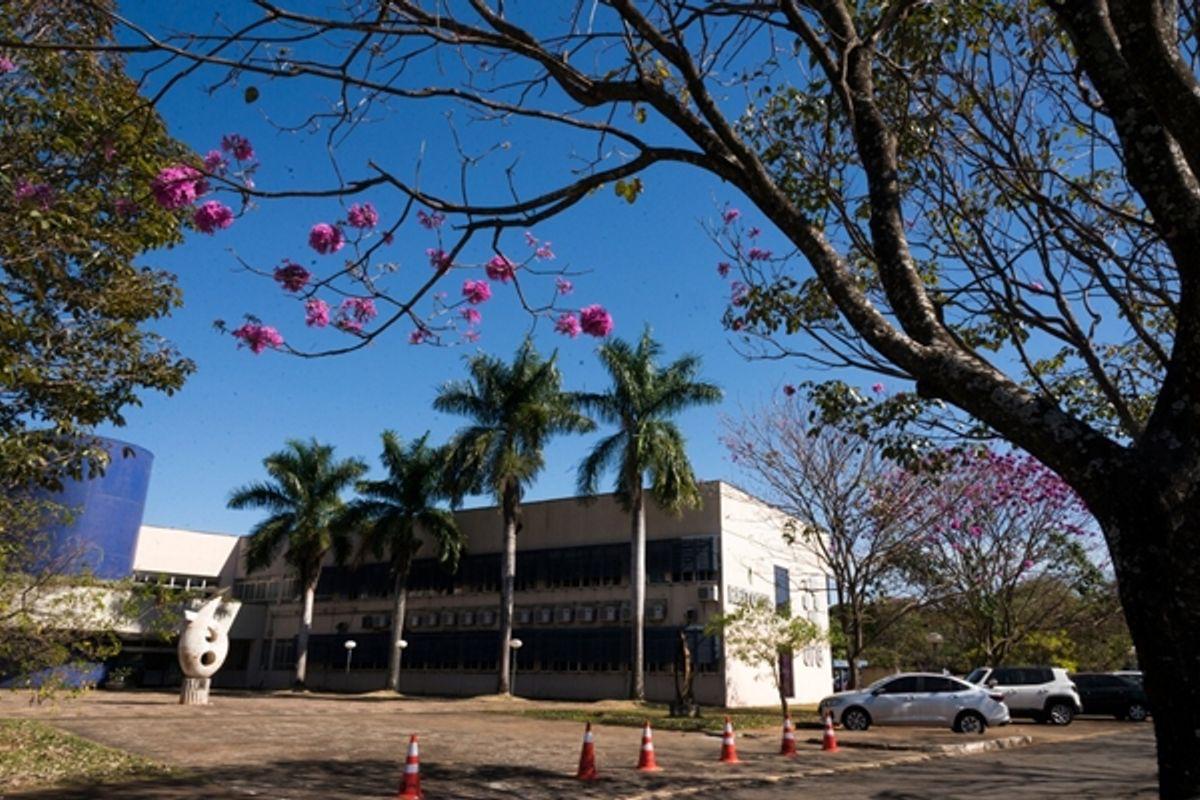 Professor da UFG é agredido durante assembleia que decidiu sobre o fim da greve na instituição 