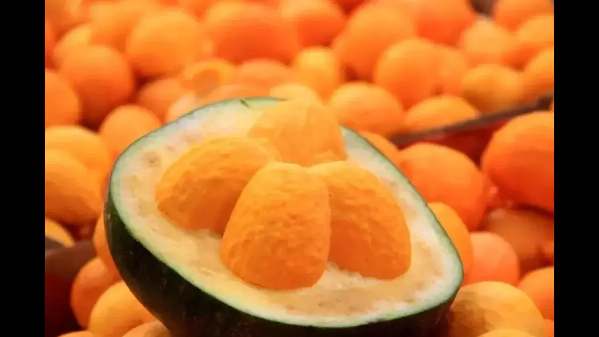 Imagem mostra pequis, frutos característicos do Cerrado brasileiro.