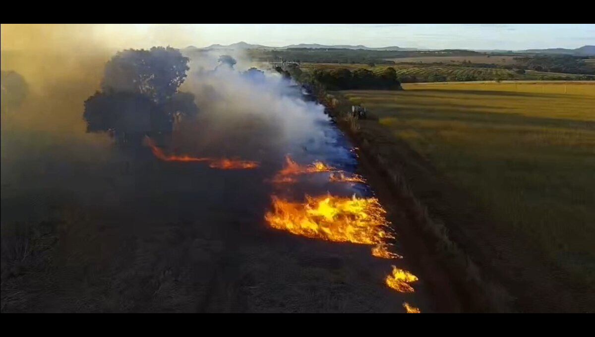 Queimada às margens da BR-153 faz PRF ser acionada para organizar o trânsito