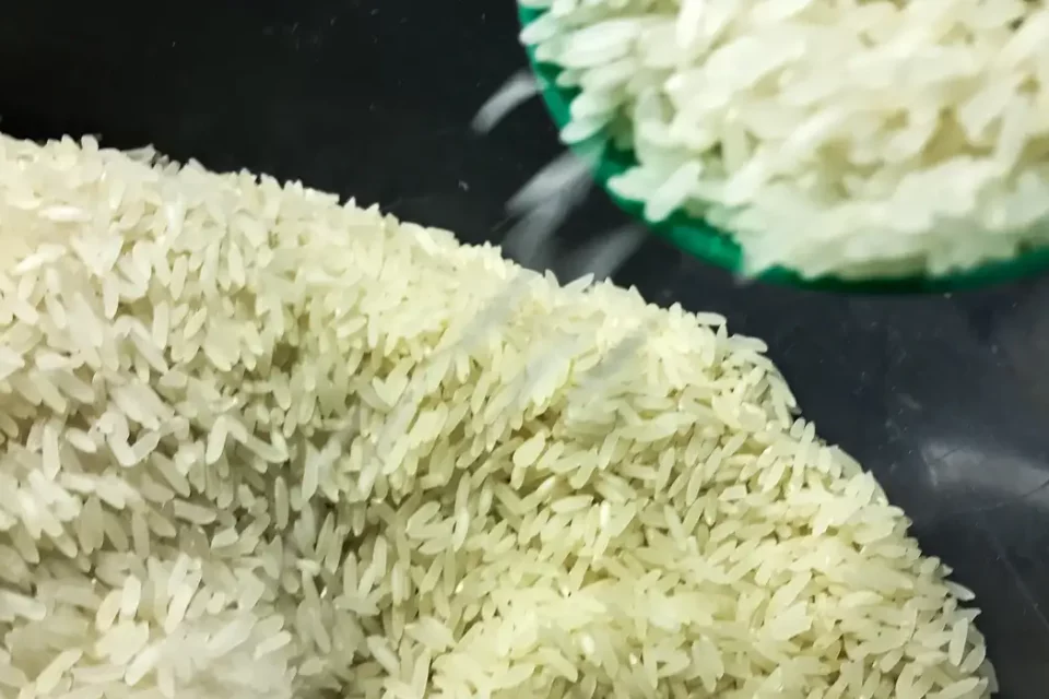 Leilão de arroz cancelado (Foto: Agência Brasil)