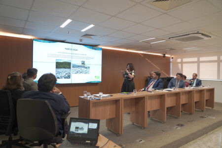 Secretária Andréa Vulcanis em audiência pública na Assembleia (Foto: Divulgação)