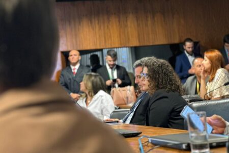 Andréa Vulcanis em audiência no Senado (Foto: Governo de Goiás)