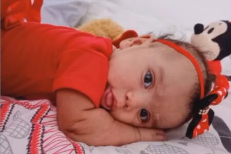 Bebê de cinco meses morre após ataque de cão em Cidade Ocidental